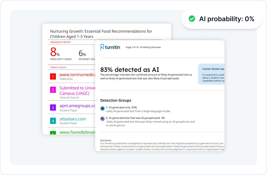 Turnitin AI Humanizer report sample